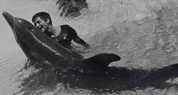 Margaret Howe Lovatt And Her Sexual Encounters With A Dolphin 3351