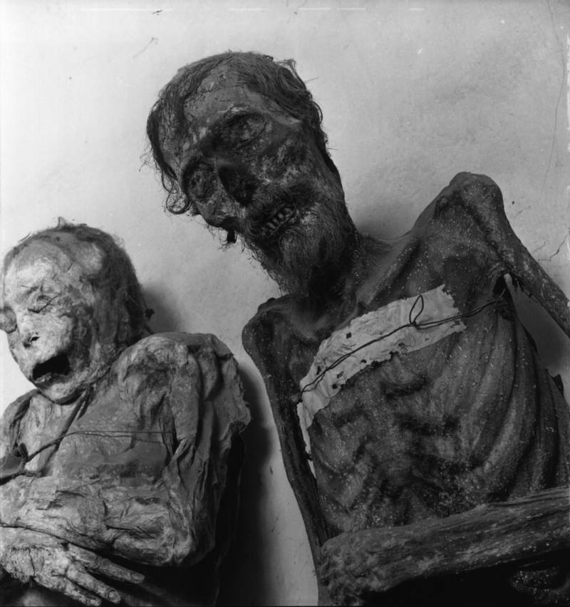 Mummies Of Guanajuato