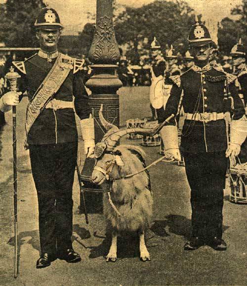 Army Mascots Of Decades Past 16 Vintage Photos