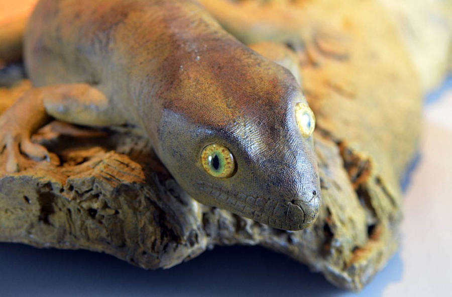 35 Extinct Animals That Should Be Cloned Back Into Existence 35-extinct-animals-that-should-be-cloned-back-into-existence