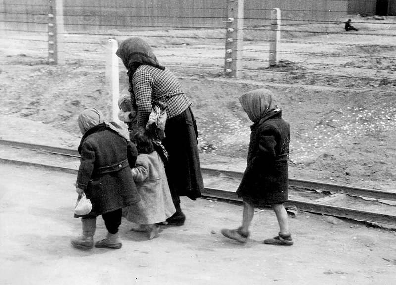 Hungarian Children At Auschwitz