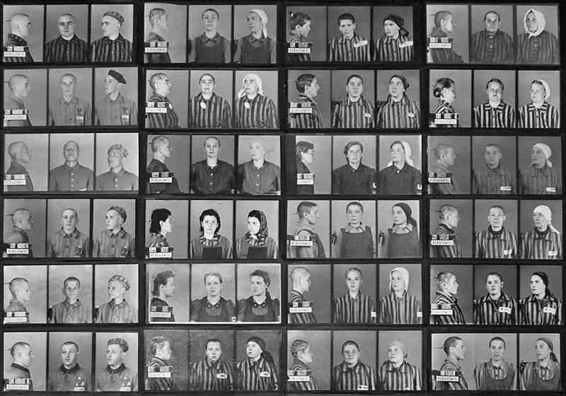 Auschwitz Prisoner Photos By Wilhelm Brasse
