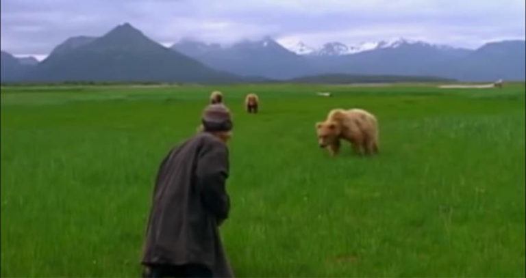 Timothy Treadwell The Grizzly Man Eaten Alive By Bears