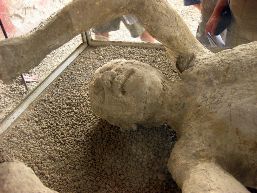 Head Of Pompeii Body