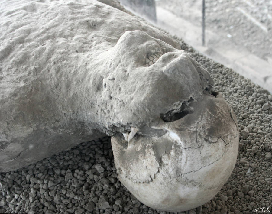 Bodies Of Pompeii