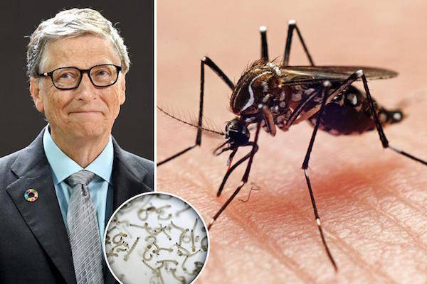 Bill Gates Malaria Science