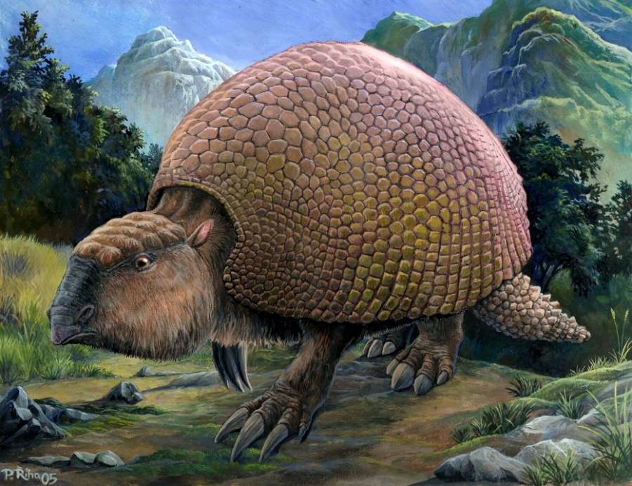 Glyptodon Painting