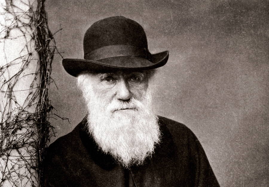 Charles Darwin Portrait