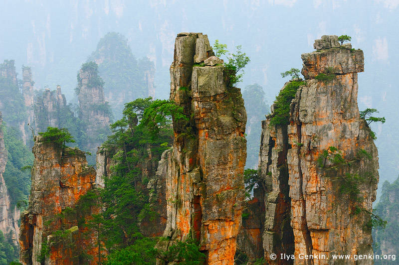 Tianzi Mountain