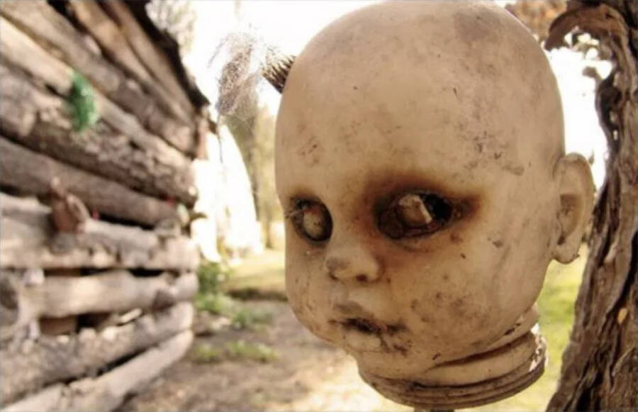 Mexico S Island Of The Dolls In Disturbing Photos