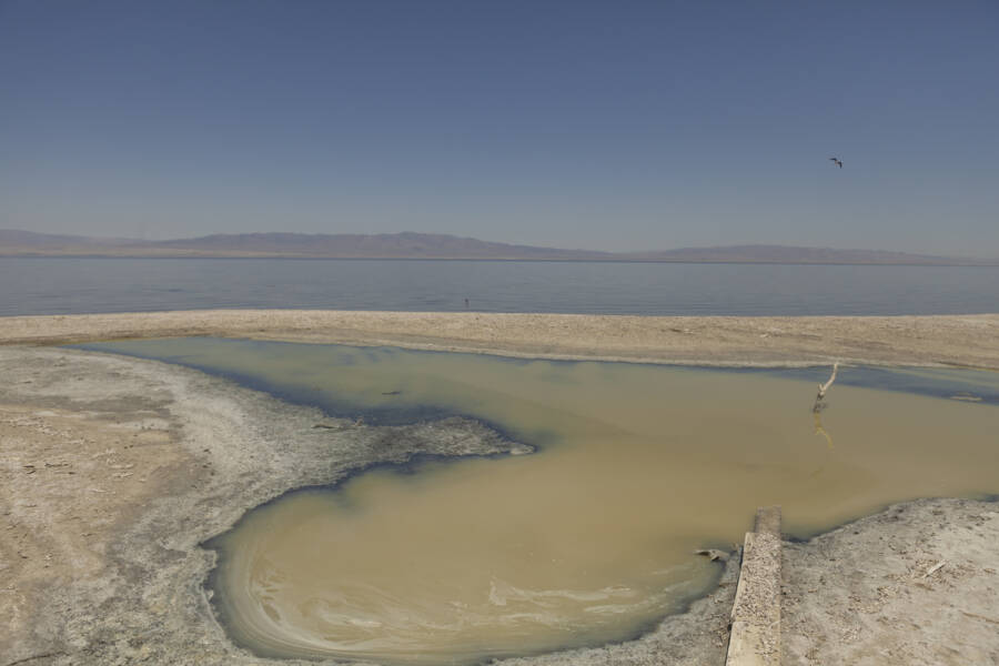 The History Of Salton Sea The Rise And Fall Of A Toxic California Lake