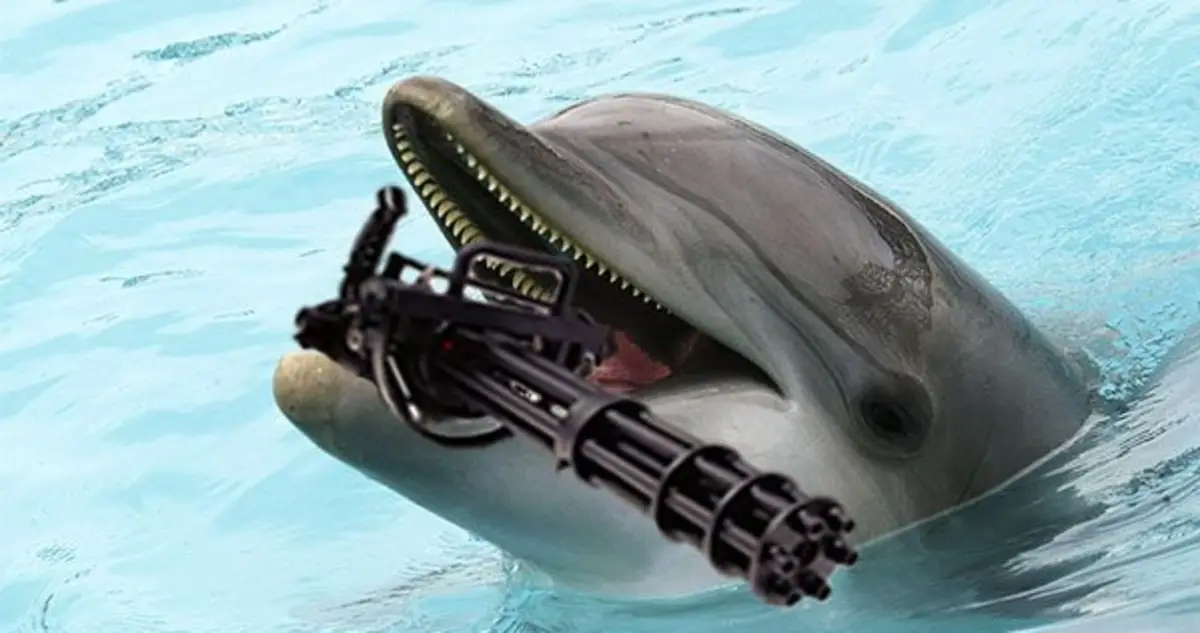 A dolphin with a weapon in its mouth