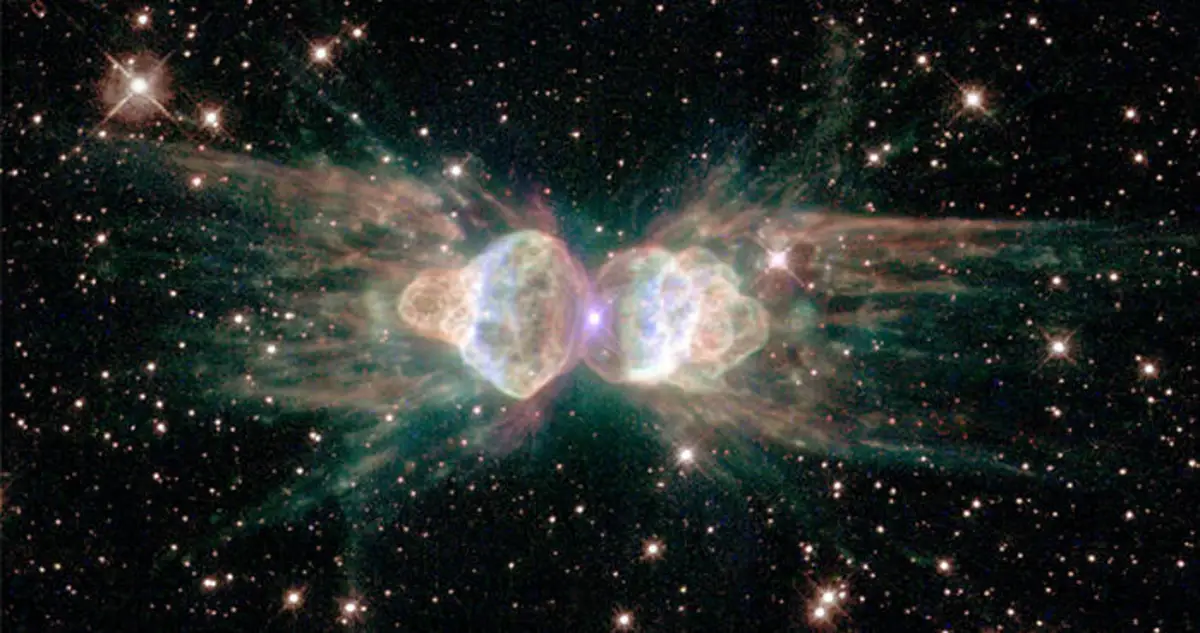 sperm nebula
