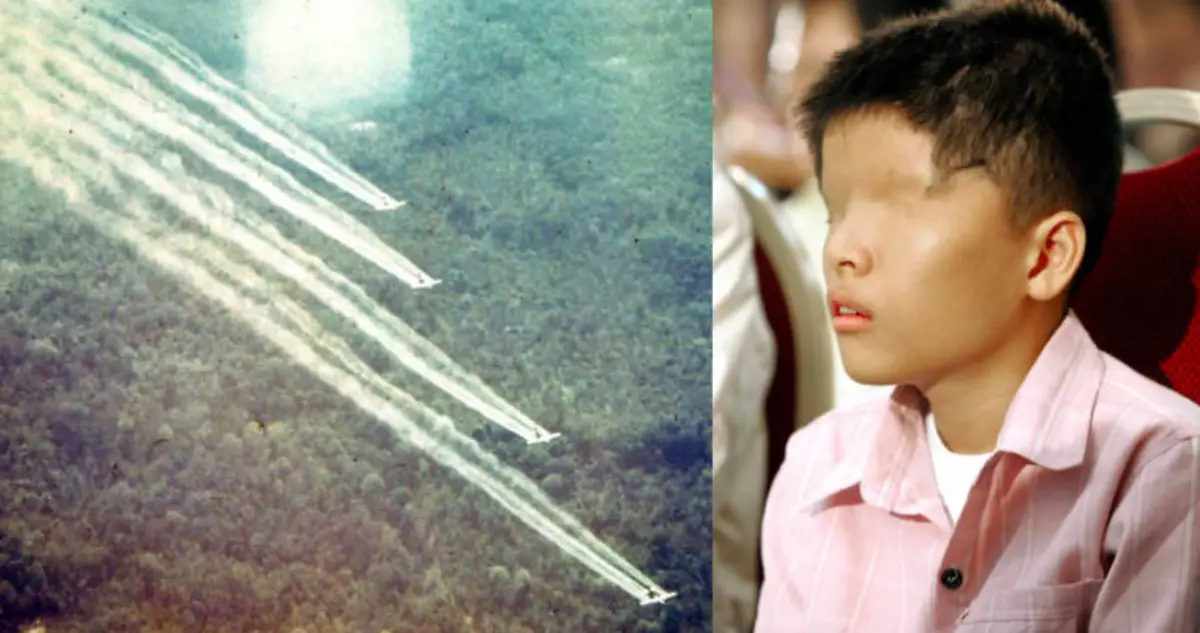  The image shows a US military plane spraying Agent Orange over a forest in Vietnam, and a Vietnamese boy who is a victim of Agent Orange. It illustrates the search query 'Vietnam demands compensation from Monsanto for Agent Orange victims'.