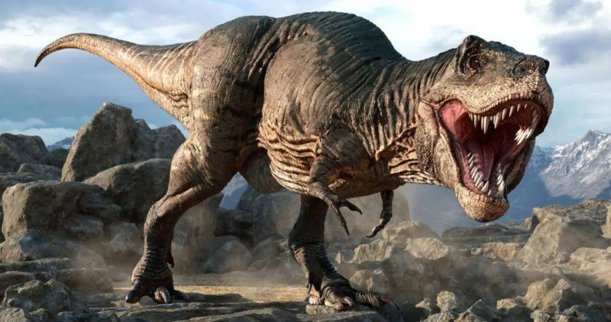 Tyrannosaurus rex may have been three separate species, say scientists