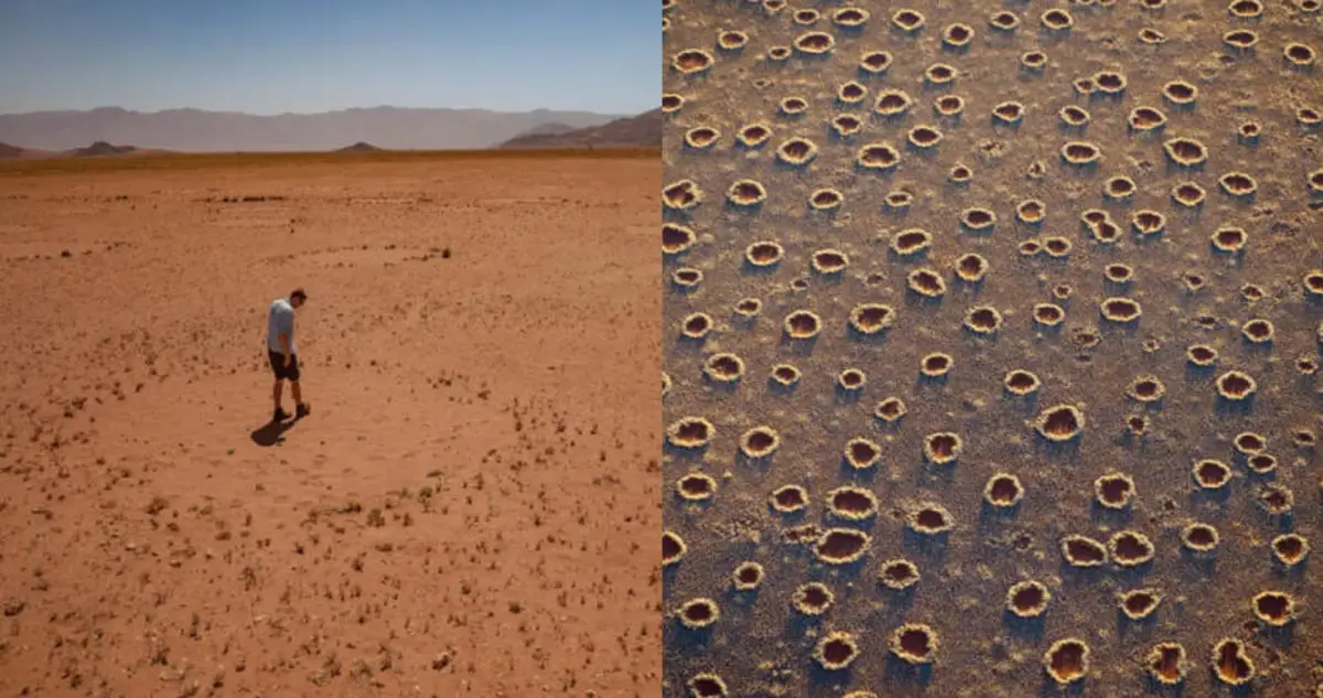 Visiting the Mysterious Fairy Circles of the Namib Desert - The Atlantic