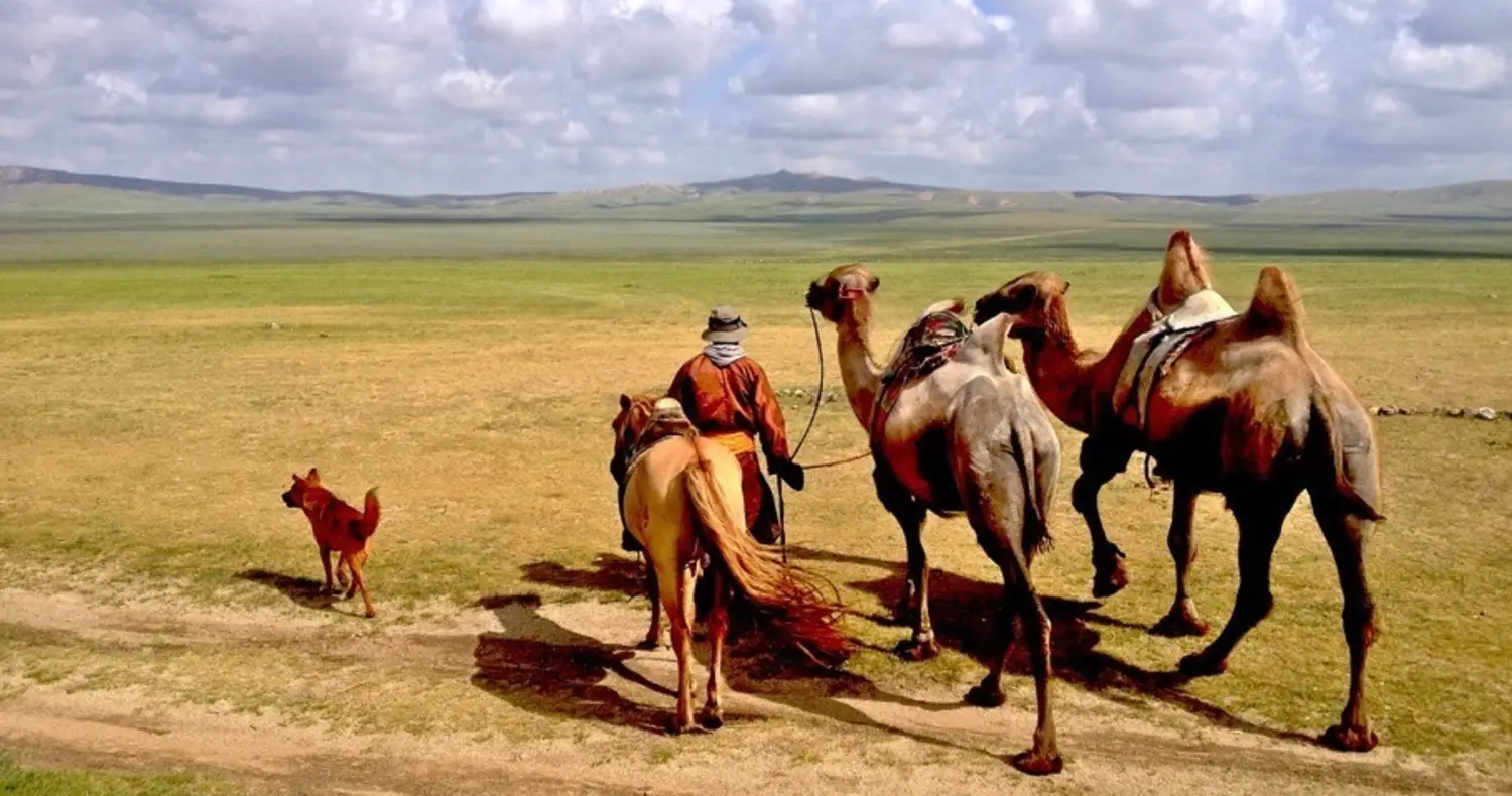 21st Century Nomads: Life In The Mongolian Steppe, image size:1500x790