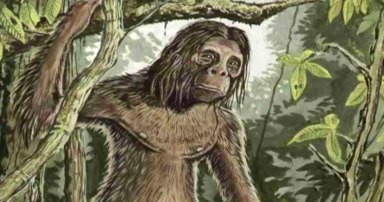 Orang Pendek, The Elusive 'Bigfoot' Of Sumatra's Mountain Forests, image size:1500x790
