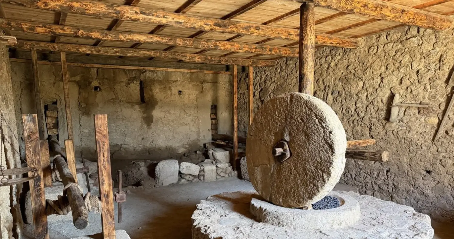 Dozens Of Olive Oil Workshops Found In Ancient Turkish City