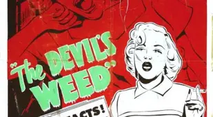 Marijuana Propaganda Learn Facts