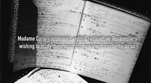 Curie Notebooks