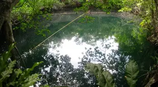 Cenote Angelita Surface