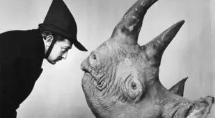 Salvador Dali Meets A Rhino