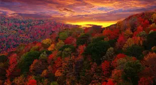 Colorful Fall Photos at Sunset