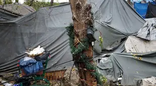 Homeless Holiday Decorations