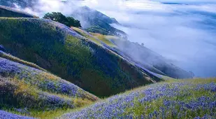 Big Sur Landscape Photography