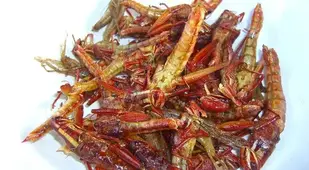 Gross Food Locust Plate