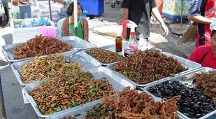 Gross Food Thai Market