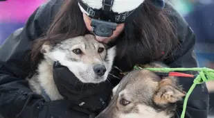 iditarod race big hugs