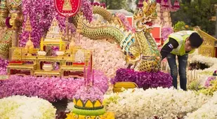 chelsea flower show dragon