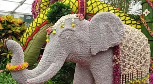 chelsea flower show elephant