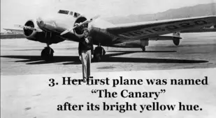 The Canary Earhart Plane