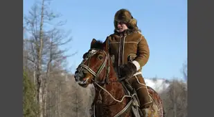 Putin On Horse
