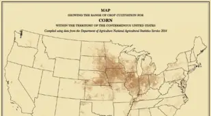 U.S. Census Maps Corn