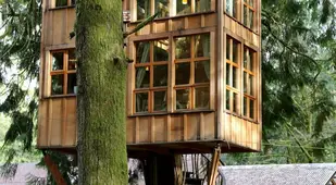 TreeHouse Point Windows