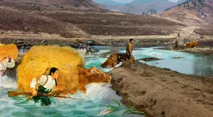 North Korea Hills Livestock