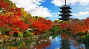 Colorful Kansai Japan To Ji