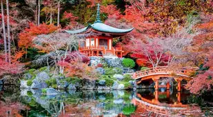 Colorful Kansai Japan Reflecting