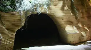 Lowline Cave