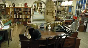 Coolest Bookstores Book Barn Desk