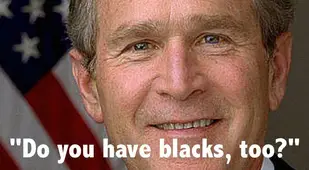 George W Bush Presidents