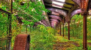 Places Reclaimed By Nature Central Railroad