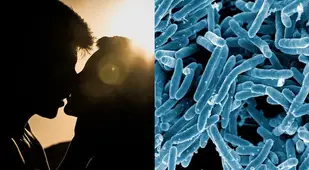 Kiss Bacteria