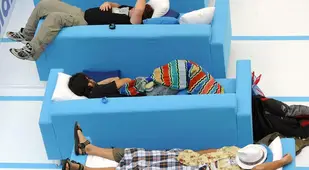 Nap Couch
