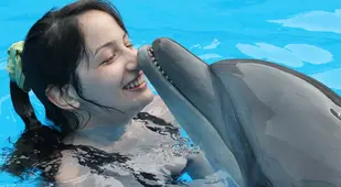 Girl Dolphin