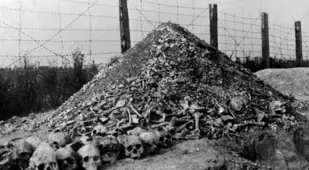 Pile Of Bones